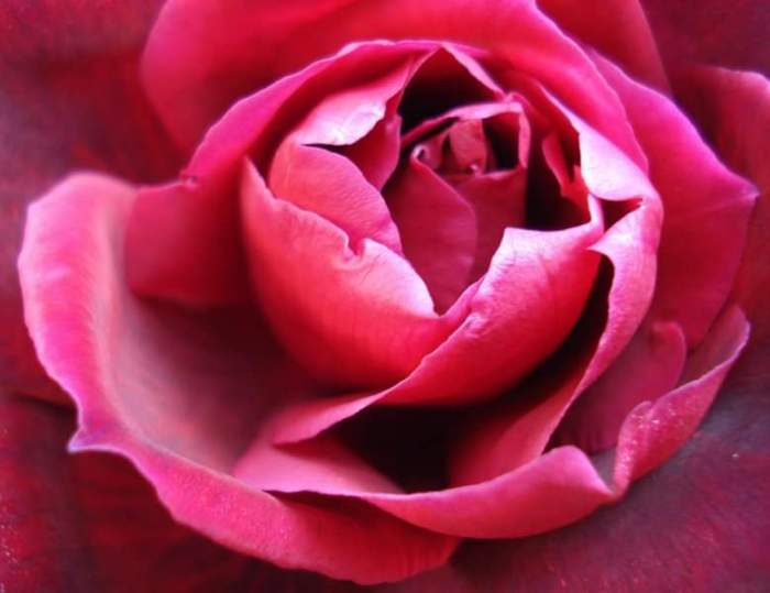 201472_1671275183954_2995324_o